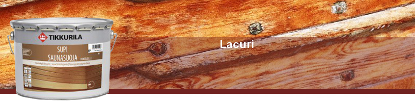 restaurarea construcţiilor de lemn