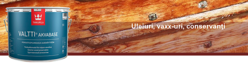 restaurarea construcţiilor de lemn