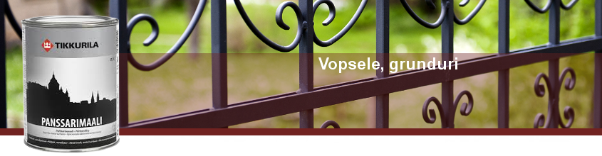 restaurarea construcţiilor de lemn